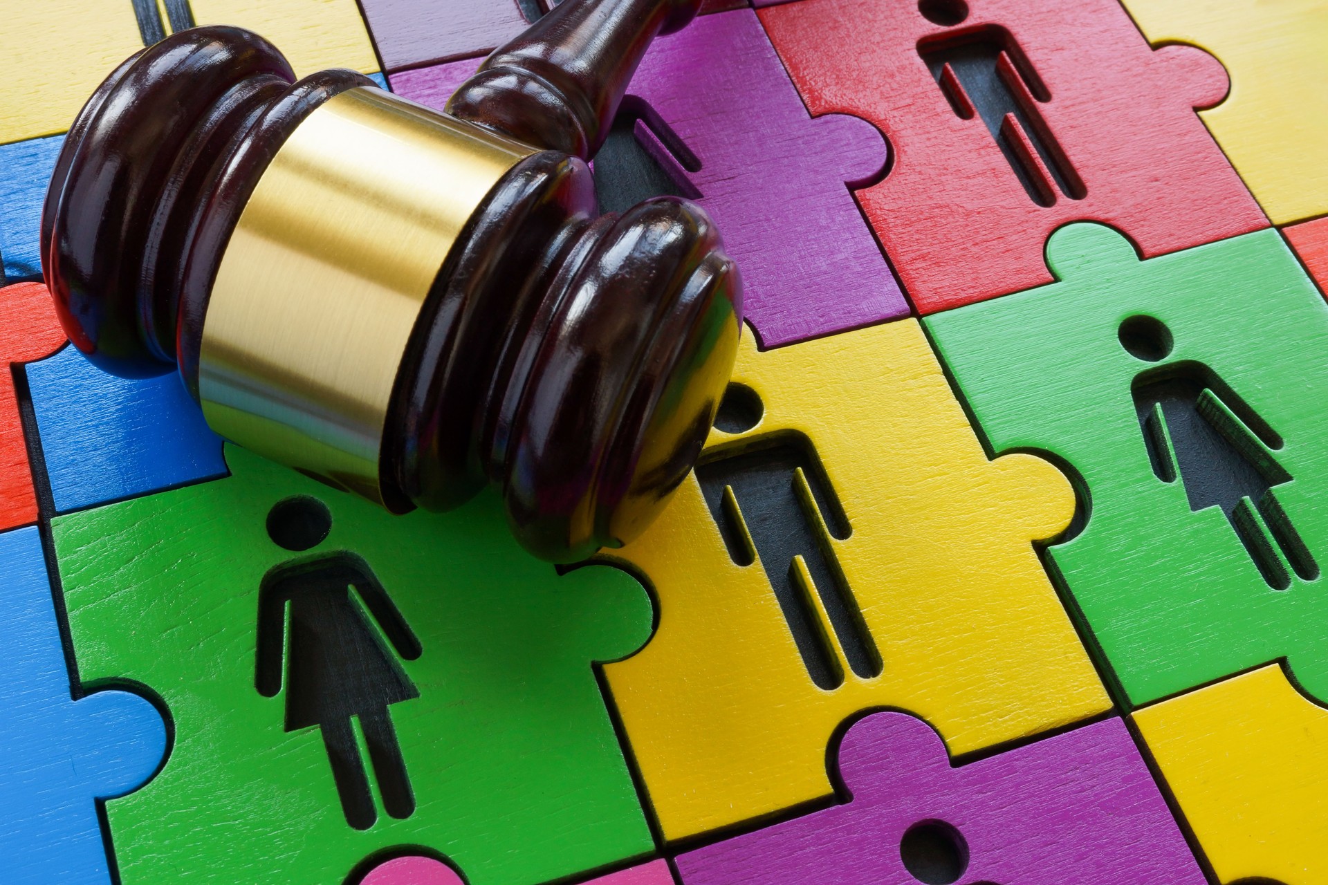 A puzzle of male and female figures as a symbol of diversity and equality and a gavel as a concept of law.
